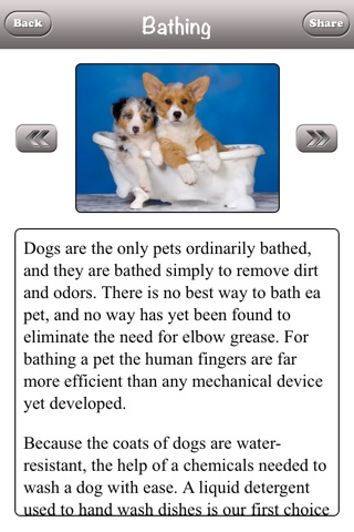 Cute Pet Care screenshot 3