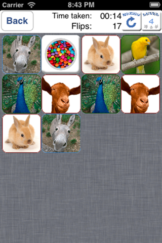 Doodle Pair Animals! Domestic&Pets - Photo Match Up Game Free Version (Picture Match) screenshot 2