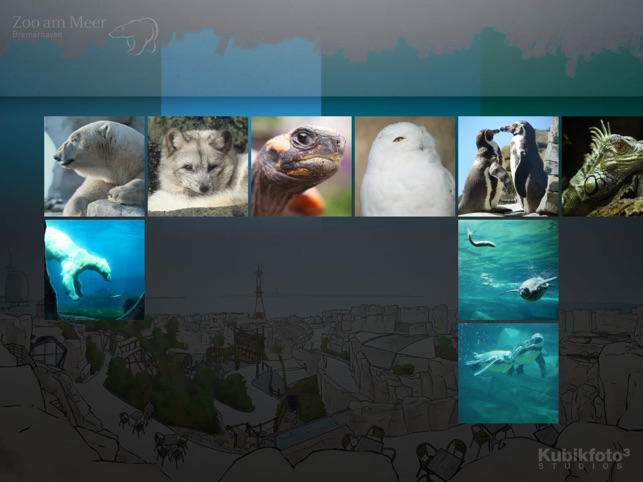 Zoo am Meer(圖2)-速報App