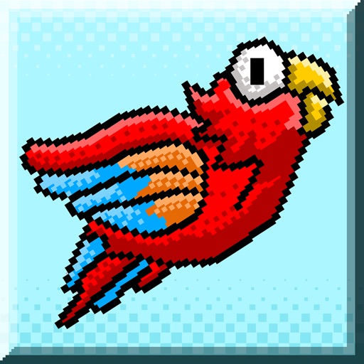 Aaaaargh!! Cuckoo Birds on the Loose iOS App