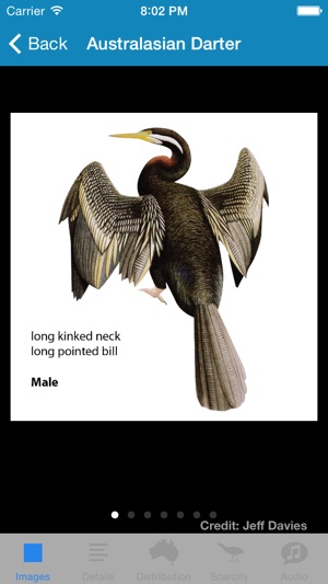 Wetland Birds Field Guide(圖3)-速報App