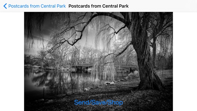 Postcards from Central Park(圖3)-速報App