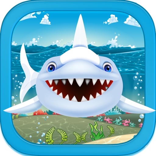 Shark Tank Fish Feeding icon