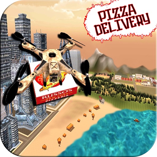 Drone Pizza Delivery icon