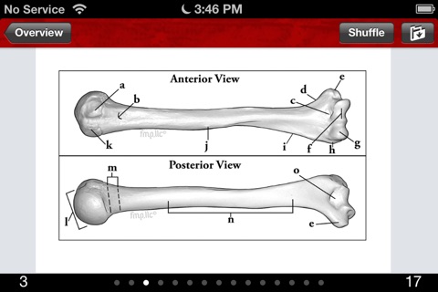 Anatomy & Kinesiology Flashcards screenshot 2