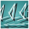 Windsurfing Association of Australia competition app