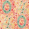 Color Blind 4X4 - Who Can Get Success Within 11 Steps