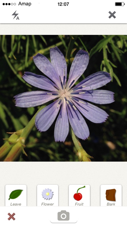 PlantNet