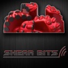 SHEAR BITS