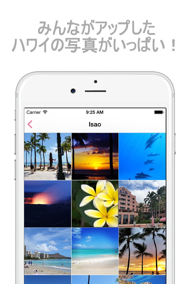 Phonolulu - Hawaii’s Photo Album App screenshot 2