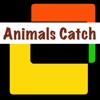 Animals Catch