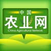 中国农业