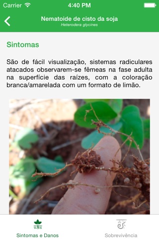 Nematoides - Identificação/FR screenshot 3