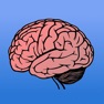 Get Memory Trainer Brain Challenge - Intellect Mind Experiment for iOS, iPhone, iPad Aso Report