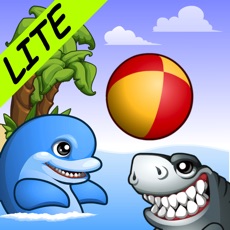 Activities of Dolphin Ball-Lite