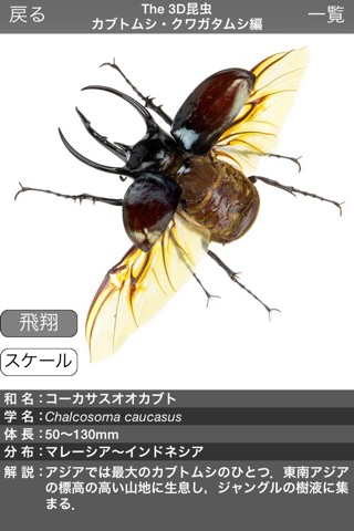 The 3D Insects I screenshot 4