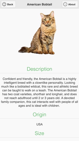 Cat Breeds Free(圖3)-速報App