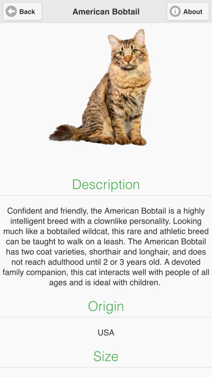 Cat Breeds Free