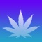 Strains for iOS7: An Advanced Breeder's Guide to Distinctive Cannabis