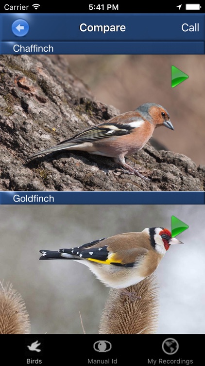 Bird Song Id Automatic Recognition & Reference - Birds of the British Isles