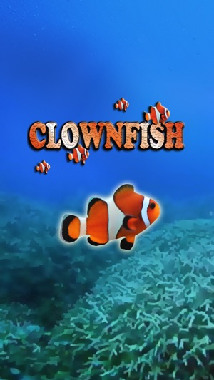 Clownfish Tap(圖1)-速報App