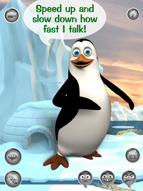 Hi, Talky Pat! HD FREE - The Talking Penguin: Text, Talk And Play With A Funny Animal Friend screenshot-3