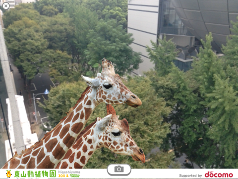東山動植物園ARカメラのおすすめ画像3