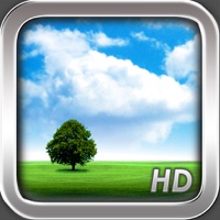 Wetter HD app funktioniert nicht? Probleme und Störung