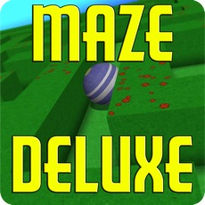 Activities of Super Maze Puzzler Deluxe