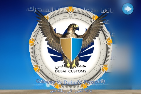 DXB Customs screenshot 2