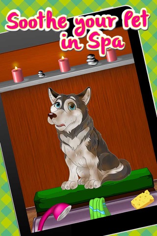 Pet Spa Salon - Style your pets like a celebrity screenshot 3