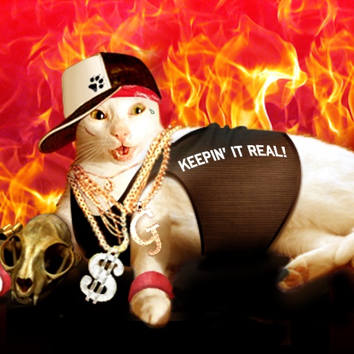 Killa Kitties from Compton icon