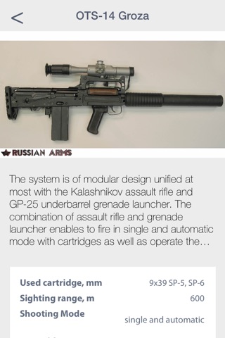 Russian arms screenshot 3