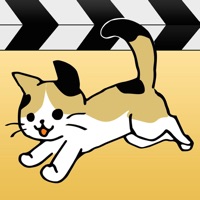 日刊ねこ動画 - CatTube 猫動画まとめアプリ