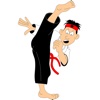 Karate Photo Puzzle