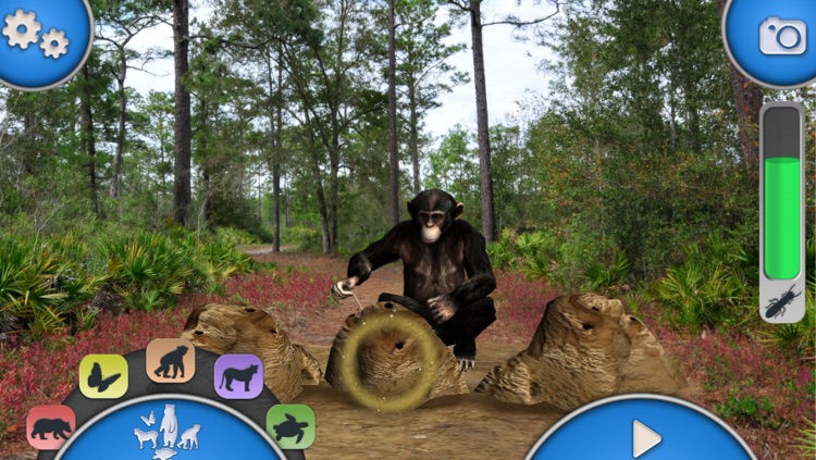 Disneynature Explore screenshot-3