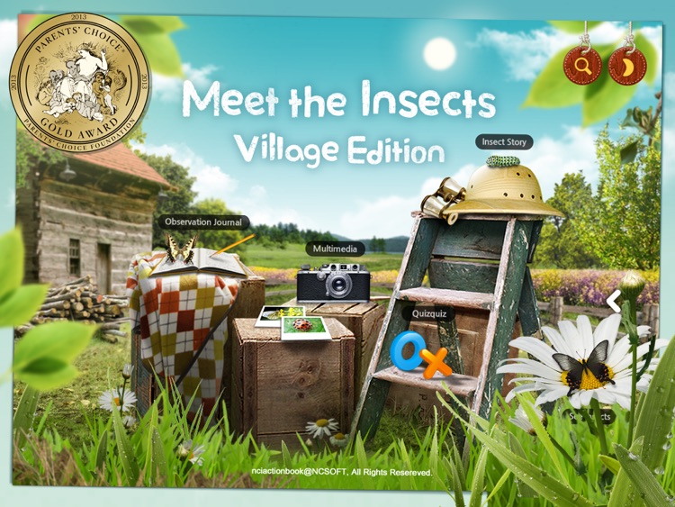 Meet the Insects: Village Edition