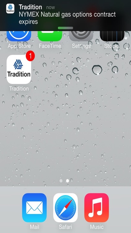 Tradition Calendar screenshot-4