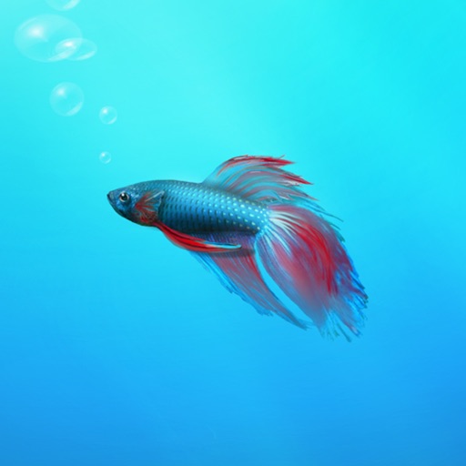 Aquarium Builder: My Pet Fish Tank Maker iOS App