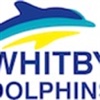 Whitby Dolphins Swim Club