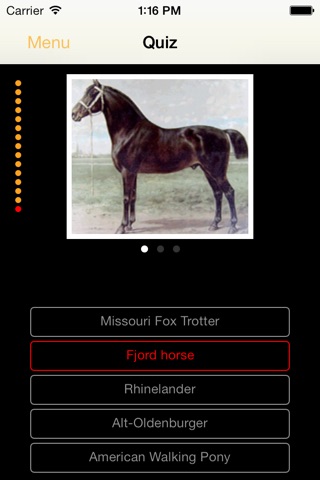 HorsesLite screenshot 4