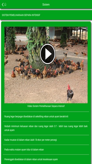 MARDI Penternakan Ayam Kampung(圖3)-速報App