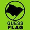 Guess Flag - Quizz Test