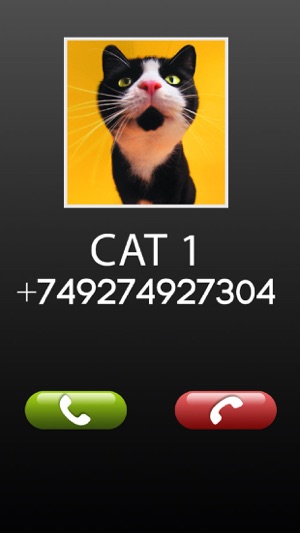 Fake Call Cat Prank(圖3)-速報App