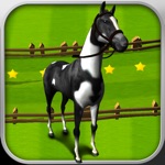 Horse Derby Race Training