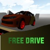 Free Drive Arena