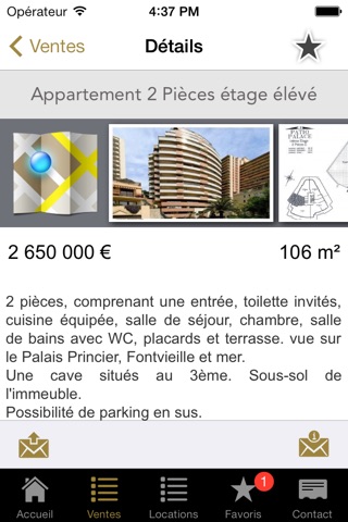 Dameno Immobilier Monaco screenshot 3