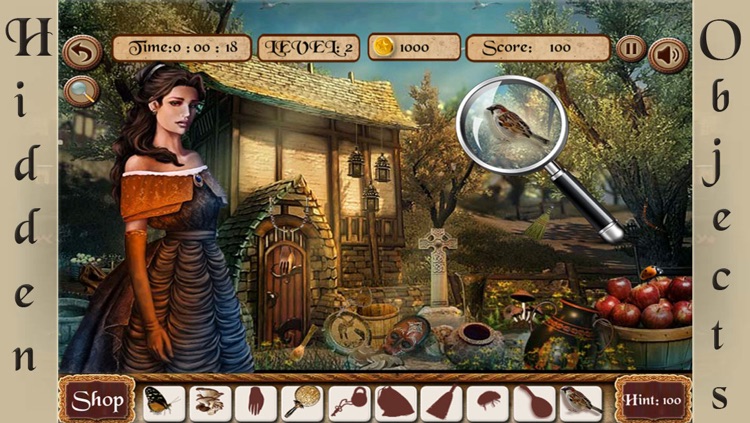 Princess of Dreams Hidden Objects