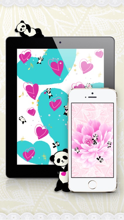 Panda Panda Wallpapers