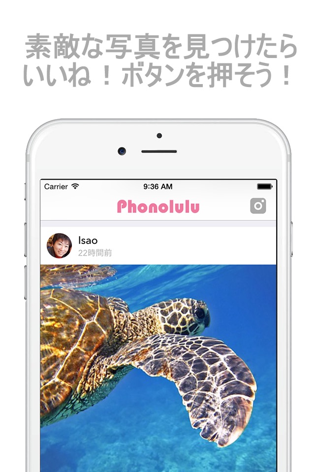 Phonolulu - Hawaii’s Photo Album App screenshot 3
